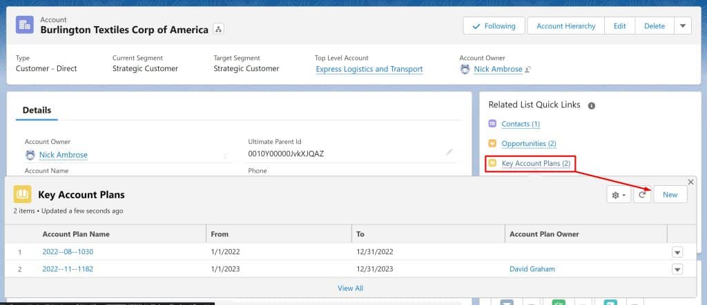 Fill in the appropriate fields in the New Key Account Plan window