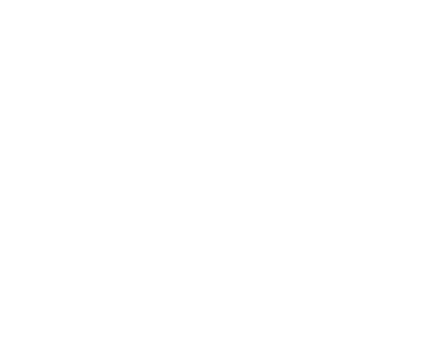 Bespoke customization of GSP apps and Salesforce